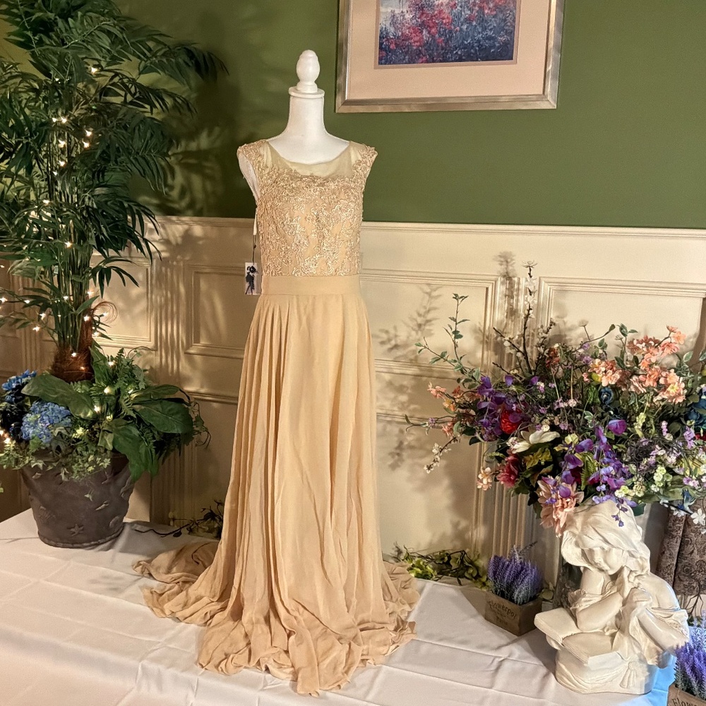 Long formal Champagne Beige chiffon dress